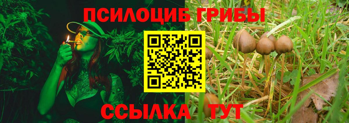 Галлюциногенные грибы ЛСД  Вход с VPN  Галлюциногенные грибы MAGIC MUSHROOMS  Сибай 